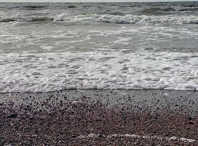 Klaipeda Seaside Apartments * Клайпеда